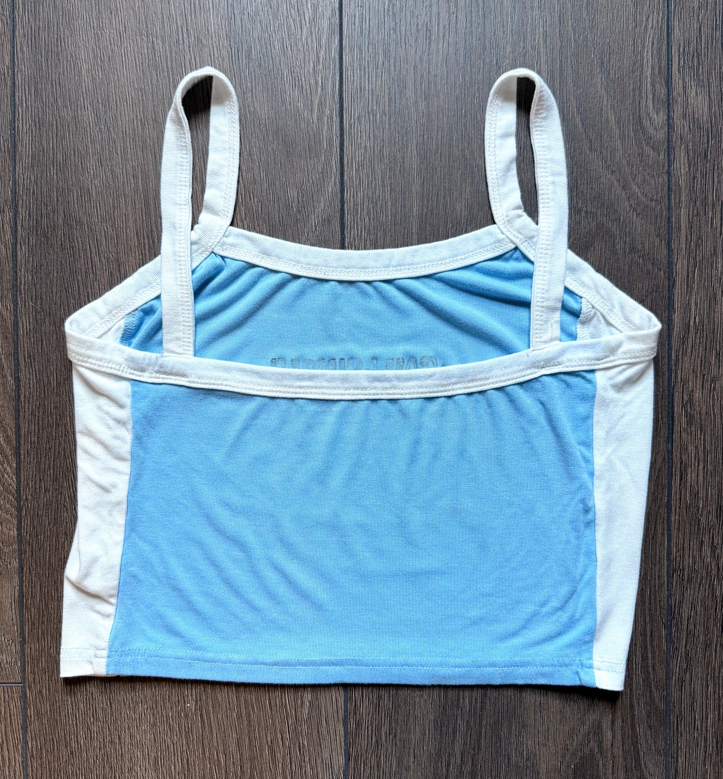 Gay & Single Cropped Tank