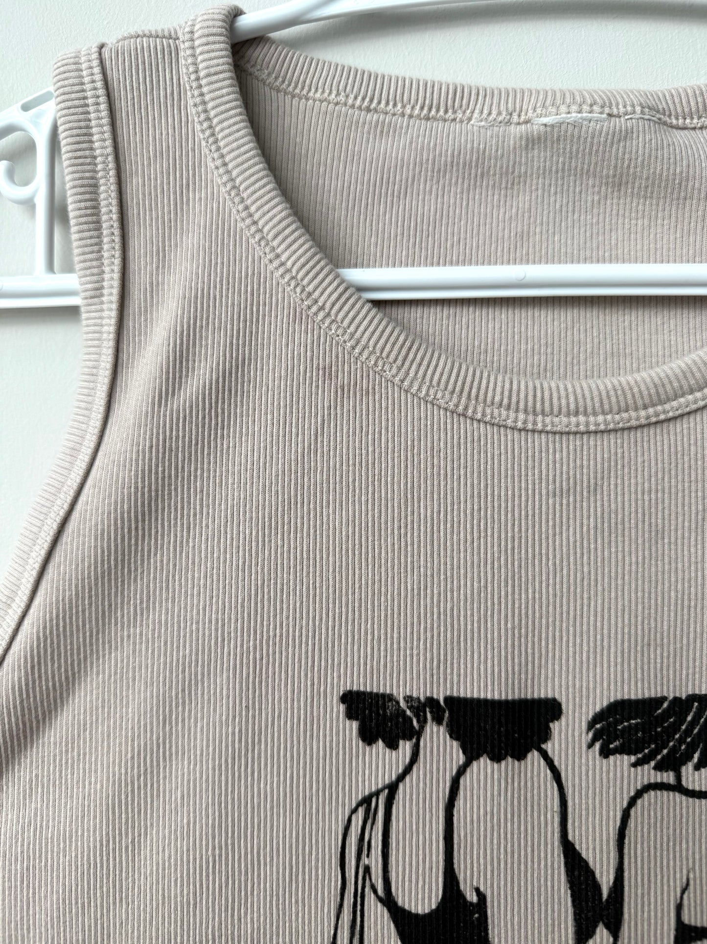 “Just Friends” Beach Babes Cropped Tank